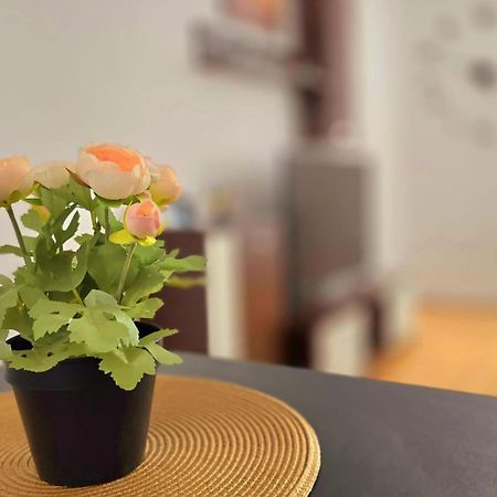 Apartament Confort Hd Vajdahunyad Kültér fotó