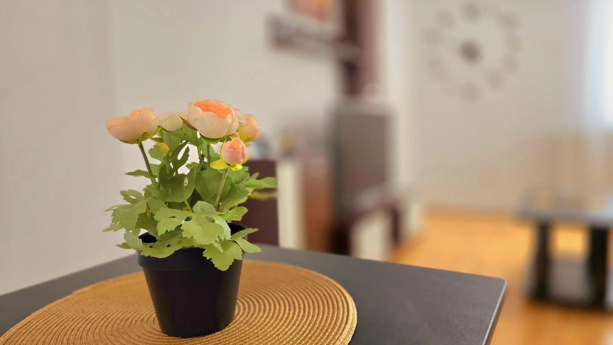 Apartament Confort Hd Vajdahunyad Kültér fotó